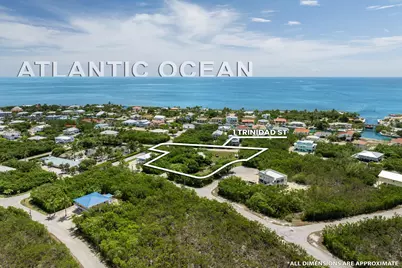 1 Trinidad Street, Duck Key, FL 33050 - Photo 6