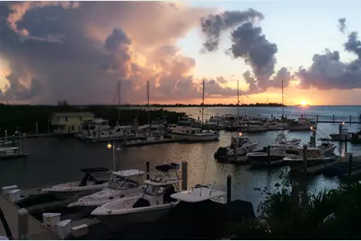 5555 College Road #5, Key West, FL 33040 - Photo 14