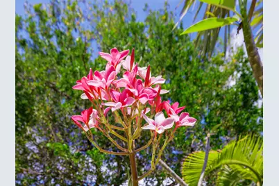30416 Coconut Highway, Big Pine Key, FL 33043 - Photo 34