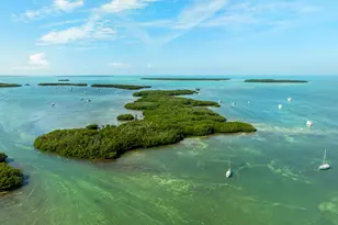 81906 Overseas Hwy, Upper Matecumbe Key Islamorada, FL 33036 - Photo 46