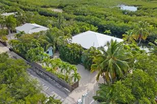 19881 Date Palm Dr, Sugarloaf Key, FL 33042 - Photo 60