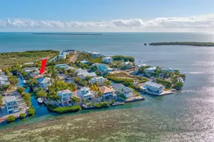 1163 De Lussan Ln, Cudjoe Key, FL 33042 - Photo 54