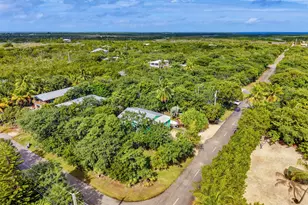 1258 Division St, Big Pine Key, FL 33043 - Photo 6