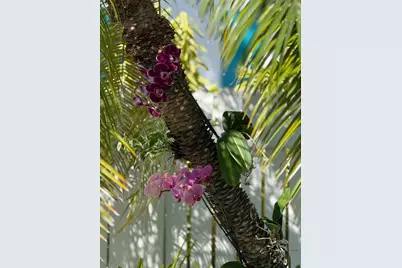 1503 Johnson Street, Key West, FL 33040 - Photo 46