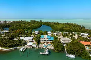 137 Sapodilla Dr, Lower Matecumbe, FL 33036 - Photo 4
