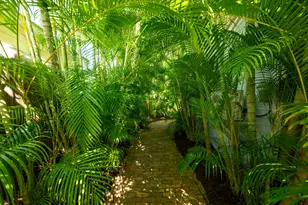 1111 Watson St, Key West, FL 33040 - Photo 2