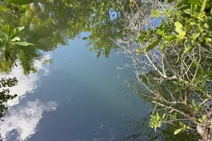 27960 Porgie, Little Torch Key, FL 33042 - Photo 6