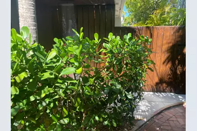 1422 Patricia Street, Key West, FL 33040 - Photo 48