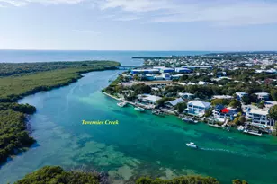 228 Tide Ave, Plantation Key, FL 33070 - Photo 4
