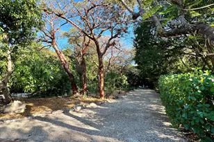 20 Avacado St, Upper Matecumbe Key Islamorada, FL 33036 - Photo 12