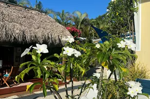 8 Grassy Rd, Key Largo, FL 33037 - Photo 12