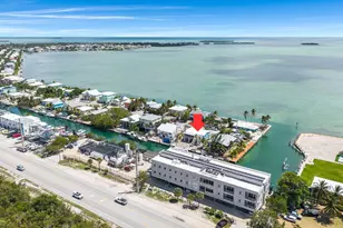 24225 W Caribbean Dr, Summerland Key, FL 33042 - Photo 10
