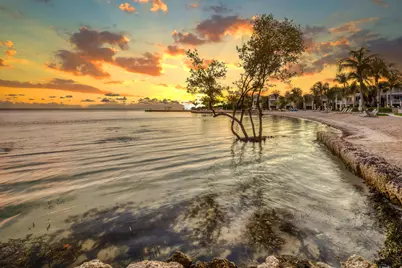 82779 Old Highway #16, Upper Matecumbe Key Islamorada, FL 33036 - Photo 110
