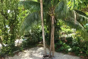 757 Musa Dr, Key Largo, FL 33037 - Photo 14