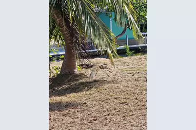30860 Malaga Lane, Big Pine Key, FL 33043 - Photo 16