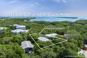 103 Stirrup Key Woods Rd, Marathon, FL 33050 - Photo 4