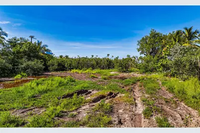 229 Coral Road, Plantation Key, FL 33036 - Photo 12