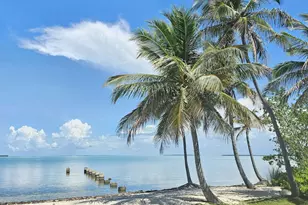 41 Sunset Rd, Key Largo, FL 33037 - Photo 56