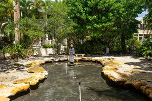 1 Spoonbill Way, Key West, FL 33040 - Photo 26