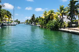 466 W Shore Dr, Summerland Key, FL 33042 - Photo 42