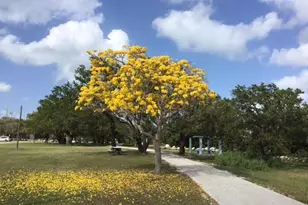 500 Burton Dr, Key Largo, FL 33070 - Photo 44