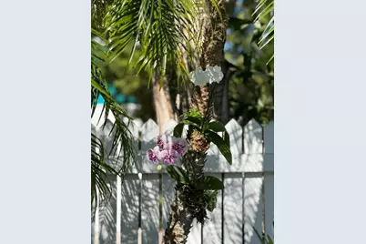 1503 Johnson Street, Key West, FL 33040 - Photo 46