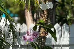 1503 Johnson St, Key West, FL 33040 - Photo 46