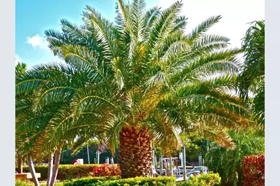 500 Burton Drive #1402, Key Largo, FL 33070 - Photo 34