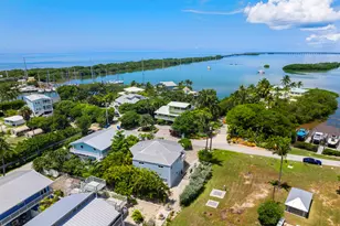 321 Tollgate Shores Dr, Lower Matecumbe, FL 33036 - Photo 54