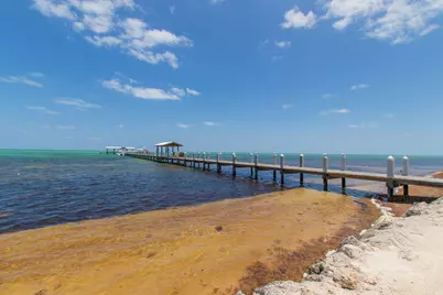 81801 Overseas Highway #716, Upper Matecumbe Key Islamorada, FL 33036 - Photo 22