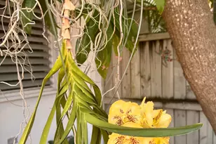 2012 Roosevelt Dr, Key West, FL 33040 - Photo 4