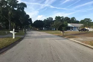 3864 Regent Dr, Other, FL 34683 - Photo 4