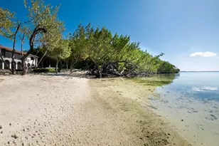 350 Buttonwood Bight Ln, Plantation Key, FL 33070 - Photo 68