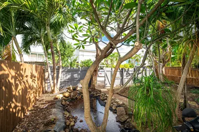 3316 Harriet Avenue, Key West, FL 33040 - Photo 4