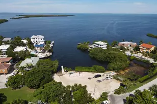 202 Hibiscus St, Plantation Key, FL 33070 - Photo 28