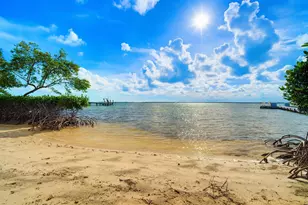 4100 Filer Cove Rd, Big Torch Key, FL 33042 - Photo 46