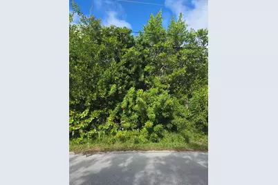 Lot 6 Date Palm Drive, Sugarloaf Key, FL 33042 - Photo 1