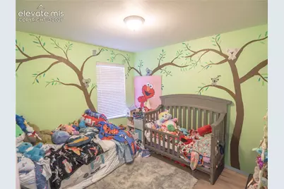 8806 Silver Glen Drive, Fountain, CO 80817 - Photo 10