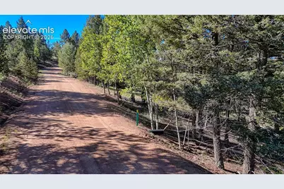 65 Utah Way, Florissant, CO 80816 - Photo 20