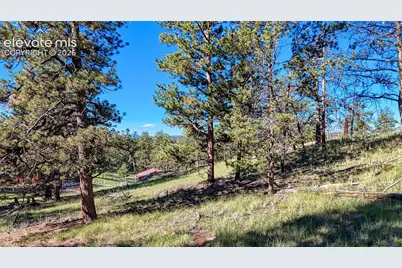 65 Utah Way, Florissant, CO 80816 - Photo 4