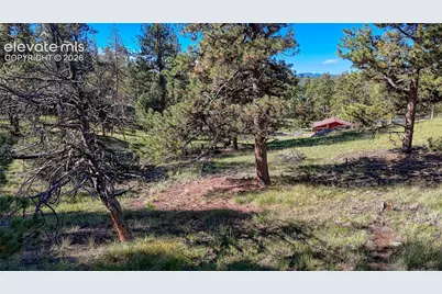 65 Utah Way, Florissant, CO 80816 - Photo 18