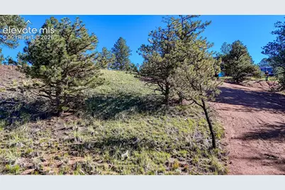 65 Utah Way, Florissant, CO 80816 - Photo 16