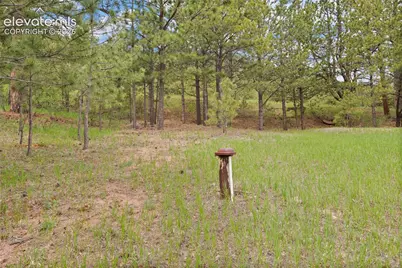 5254 County Road 11, Florissant, CO 80816 - Photo 50