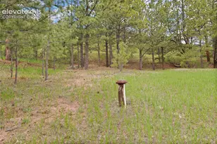 5254 County Rd 11, Florissant, CO 80816 - Photo 50