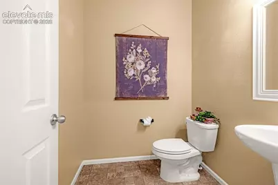1425 Diamond Rim Drive, Colorado Springs, CO 80921 - Photo 18
