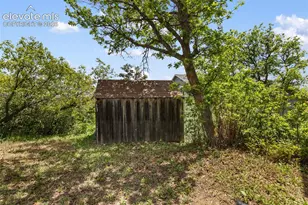 410 Thompson Pl, Palmer Lake, CO 80133 - Photo 28