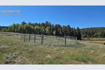 99 Uintah Ridge Road, Florissant, CO 80816 - Photo 12