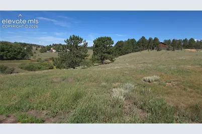 99 Uintah Ridge Road, Florissant, CO 80816 - Photo 34