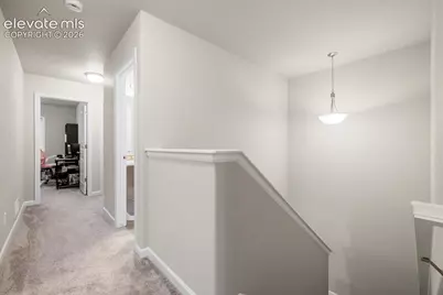 6055 White Wolf Point, Colorado Springs, CO 80925 - Photo 22
