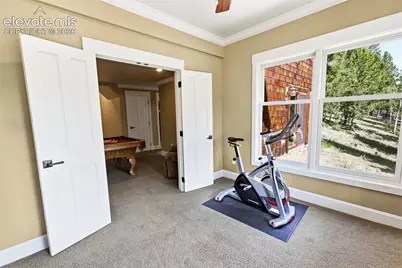521 Woodrock Way, Divide, CO 80814 - Photo 32